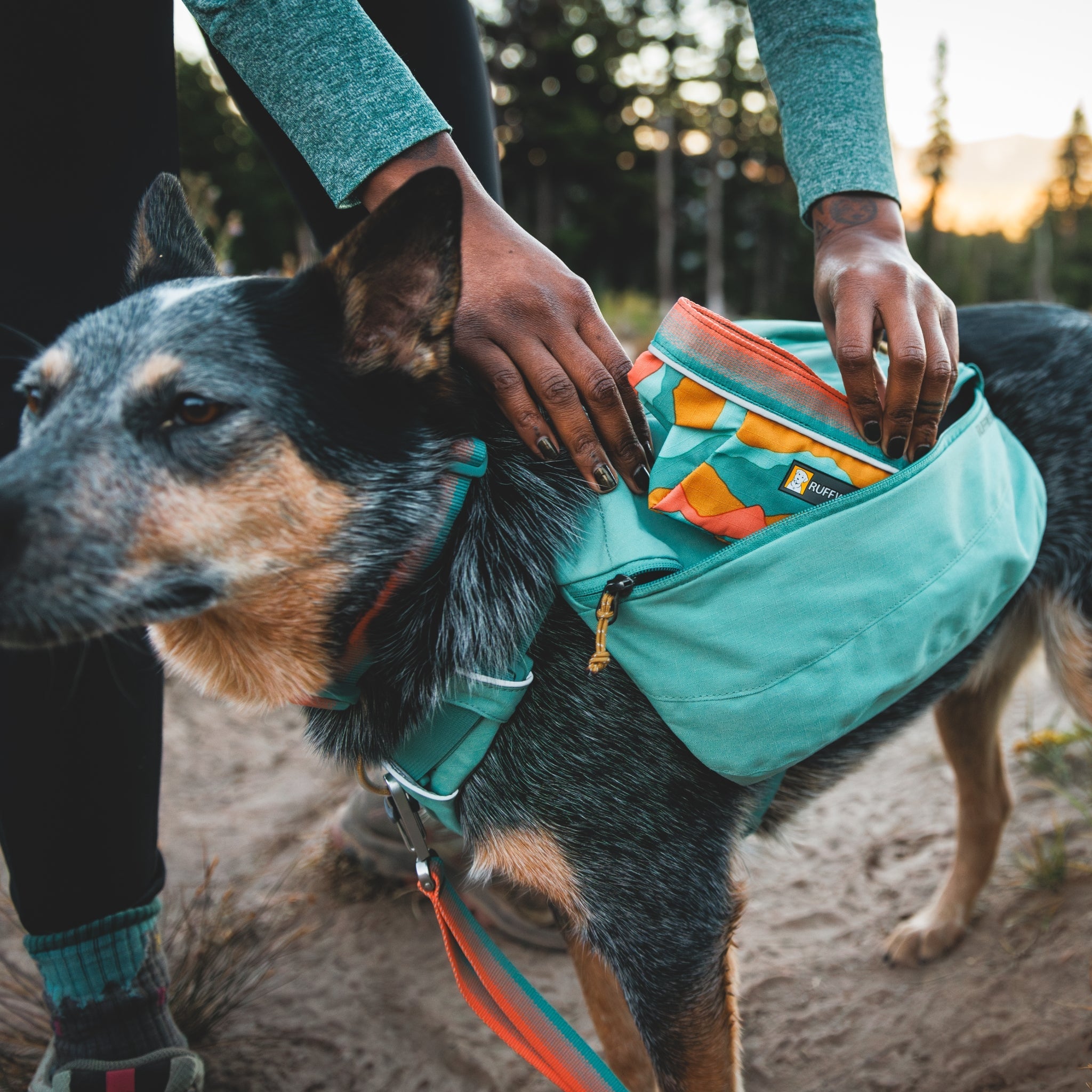 Ruffwear Front Range Day Pack – Hundegeschirr mit Packtaschen für Wanderungen &amp; Outdoor - Abenteuer - Woofshack