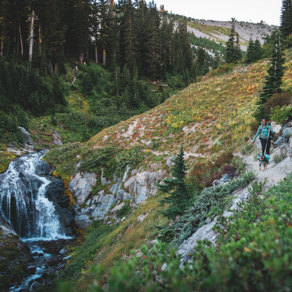 Ruffwear Front Range Day Pack – Hundegeschirr mit Packtaschen für Wanderungen &amp; Outdoor - Abenteuer - Woofshack