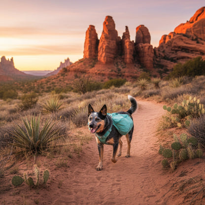 Ruffwear Front Range Day Pack – Hundegeschirr mit Packtaschen für Wanderungen &amp; Outdoor - Abenteuer - Woofshack