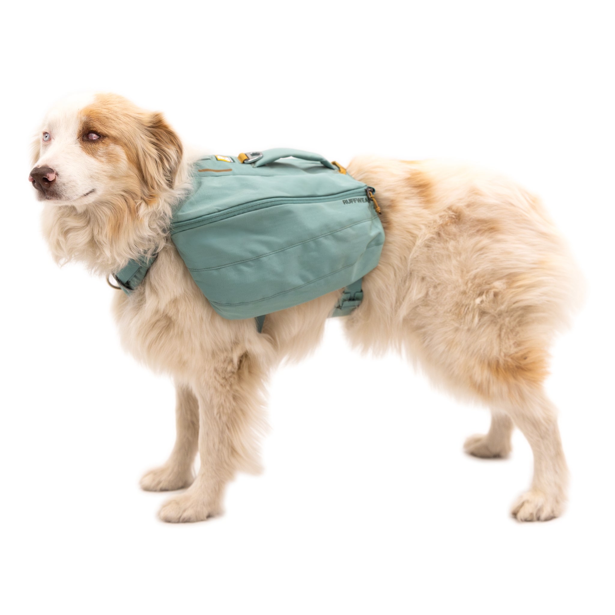 Ruffwear Front Range Day Pack – Hundegeschirr mit Packtaschen für Wanderungen &amp; Outdoor - Abenteuer - Woofshack