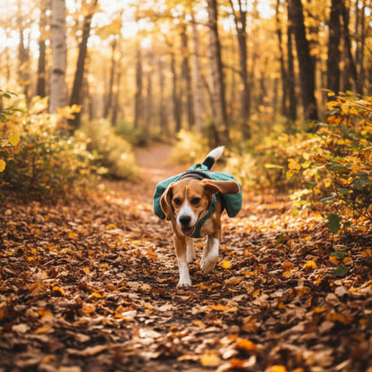 Ruffwear Front Range Day Pack – Hundegeschirr mit Packtaschen für Wanderungen &amp; Outdoor - Abenteuer - Woofshack