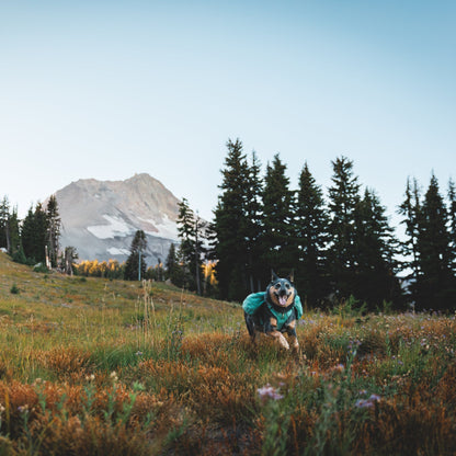 Ruffwear Front Range Day Pack – Hundegeschirr mit Packtaschen für Wanderungen &amp; Outdoor - Abenteuer - Woofshack