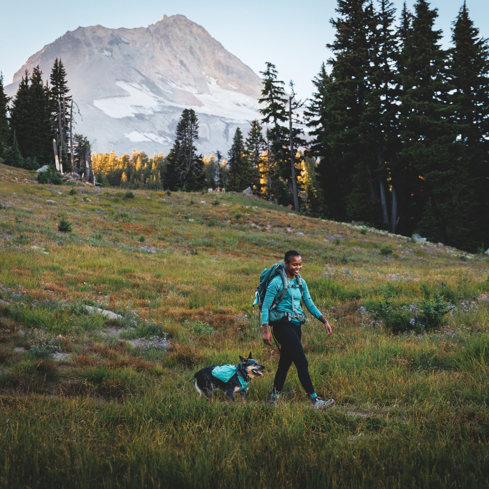 Ruffwear Front Range Day Pack – Hundegeschirr mit Packtaschen für Wanderungen &amp; Outdoor - Abenteuer - Woofshack