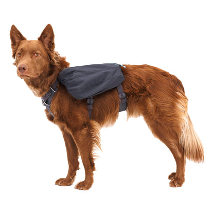 Ruffwear Front Range Day Pack – Hundegeschirr mit Packtaschen für Wanderungen &amp; Outdoor - Abenteuer - Woofshack