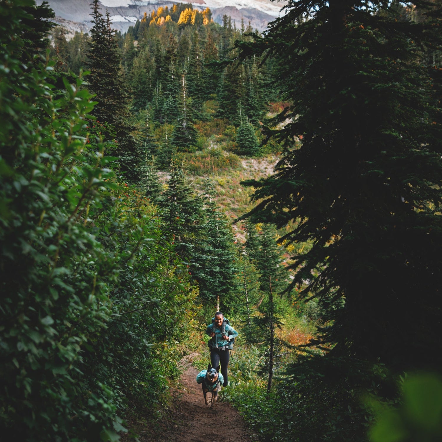 Ruffwear Front Range Day Pack – Hundegeschirr mit Packtaschen für Wanderungen &amp; Outdoor - Abenteuer - Woofshack