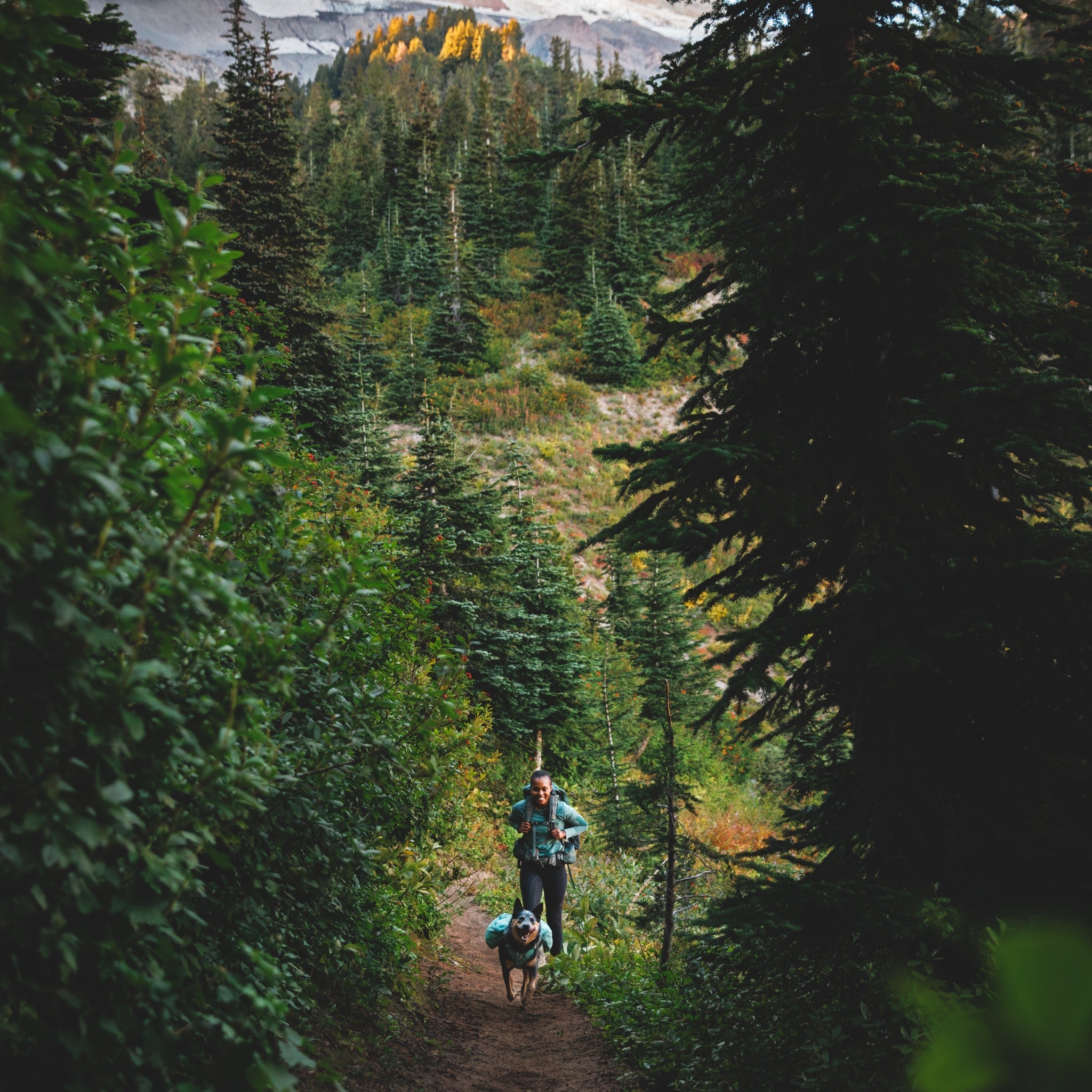 Ruffwear Front Range Day Pack – Hundegeschirr mit Packtaschen für Wanderungen &amp; Outdoor - Abenteuer - Woofshack