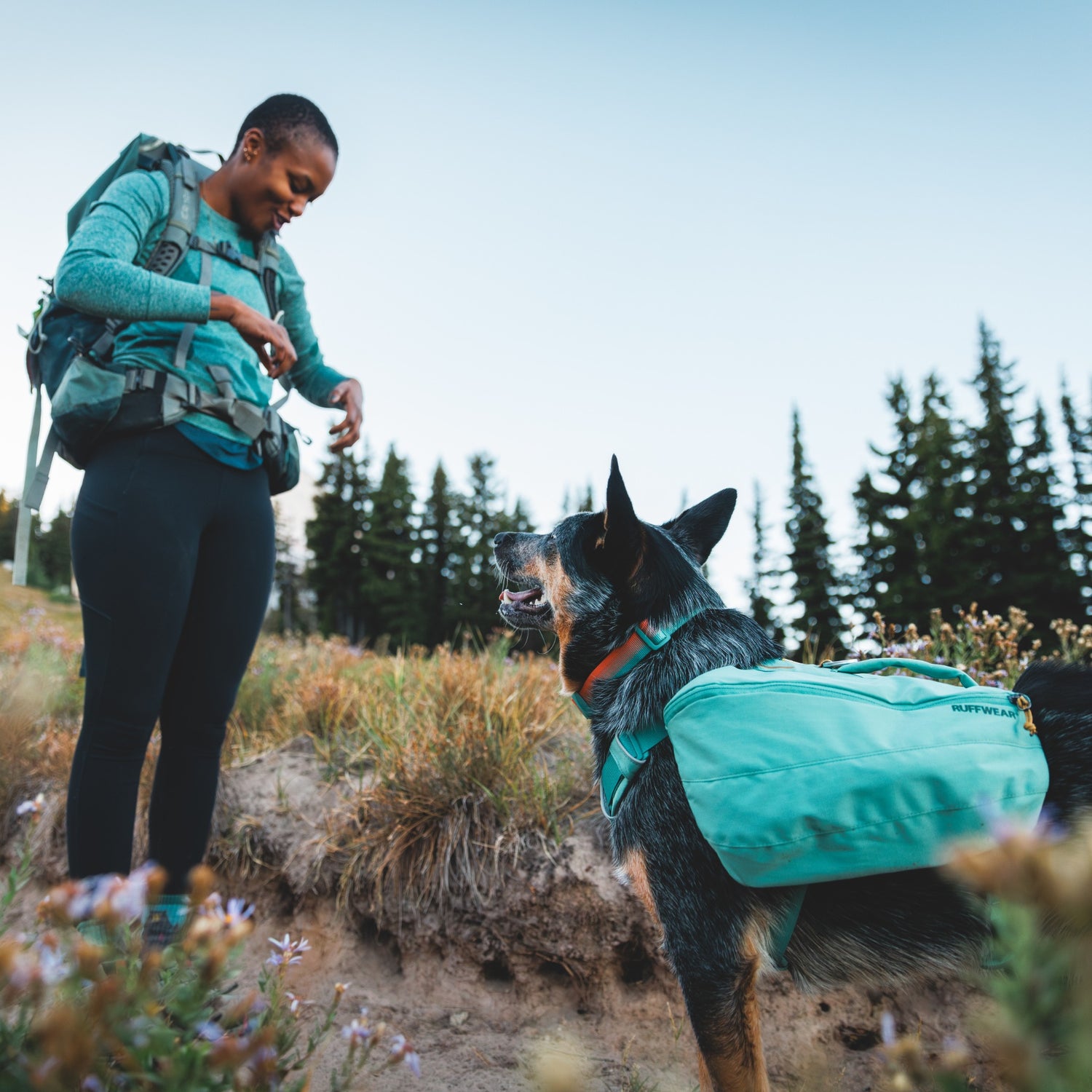Ruffwear Front Range Day Pack, sac à dos pour chien