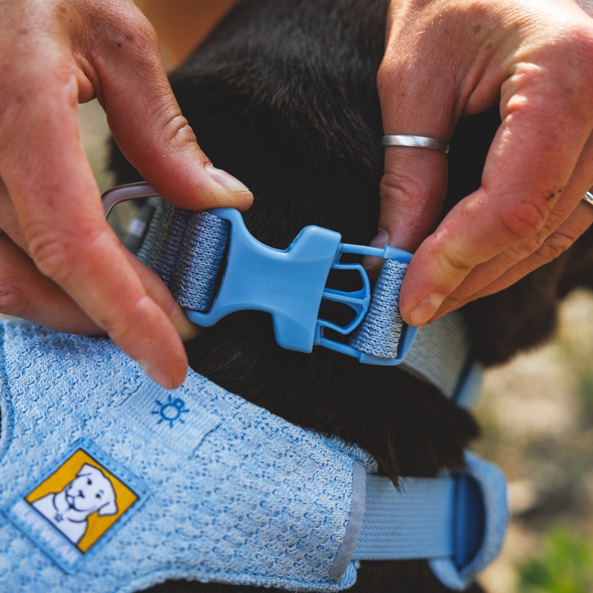 Ruffwear Front Range Flex Collar – Reflektierendes Hundehalsband mit innovativer Stricktechnologie für maximalen Komfort bei Abenteuern - Woofshack