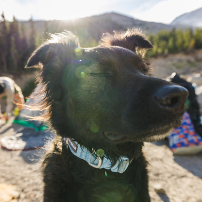 Ruffwear Front Range Flex Collar – Reflektierendes Hundehalsband mit innovativer Stricktechnologie für maximalen Komfort bei Abenteuern - Woofshack