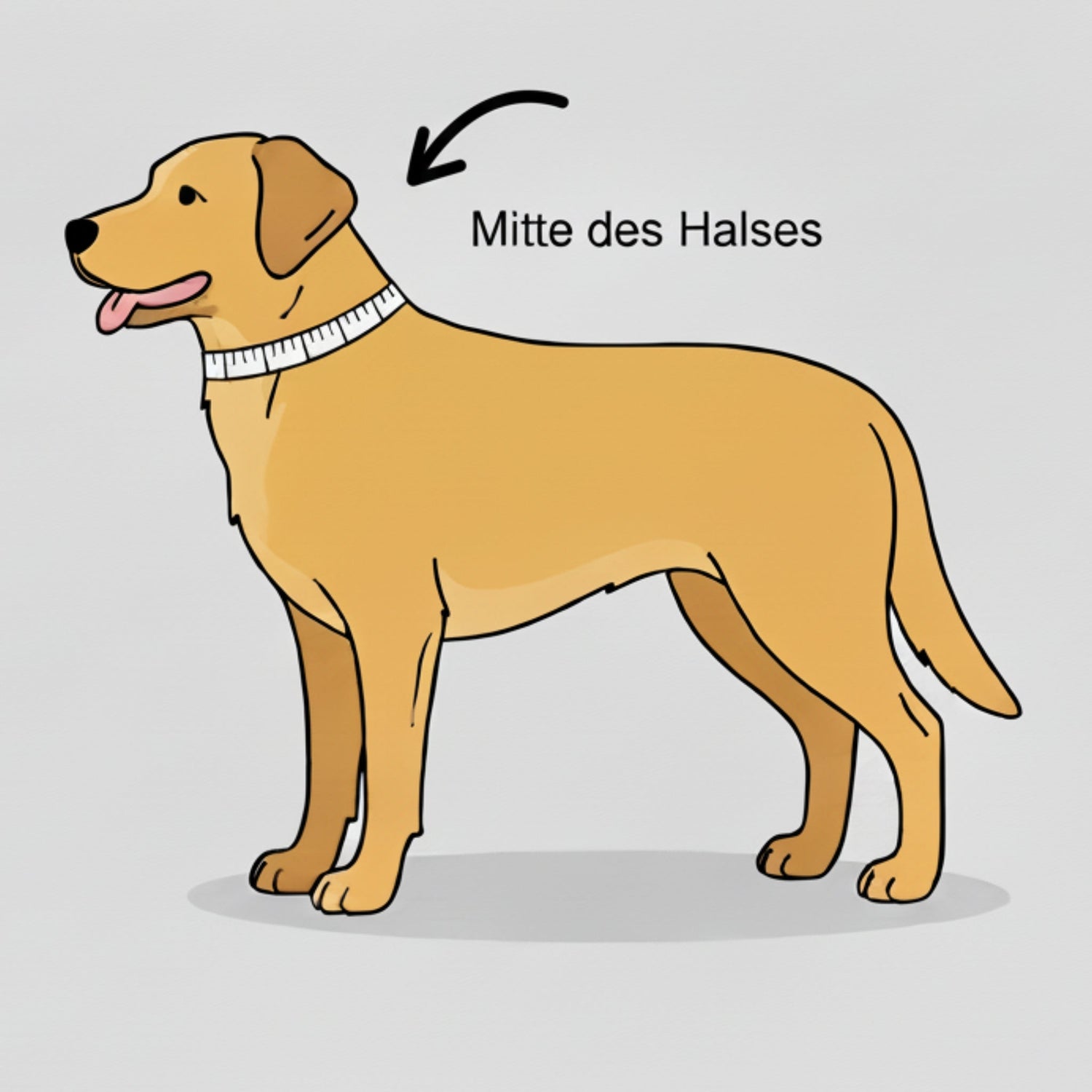 Ruffwear Front Range Flex Collar – Reflektierendes Hundehalsband mit innovativer Stricktechnologie für maximalen Komfort bei Abenteuern - Woofshack