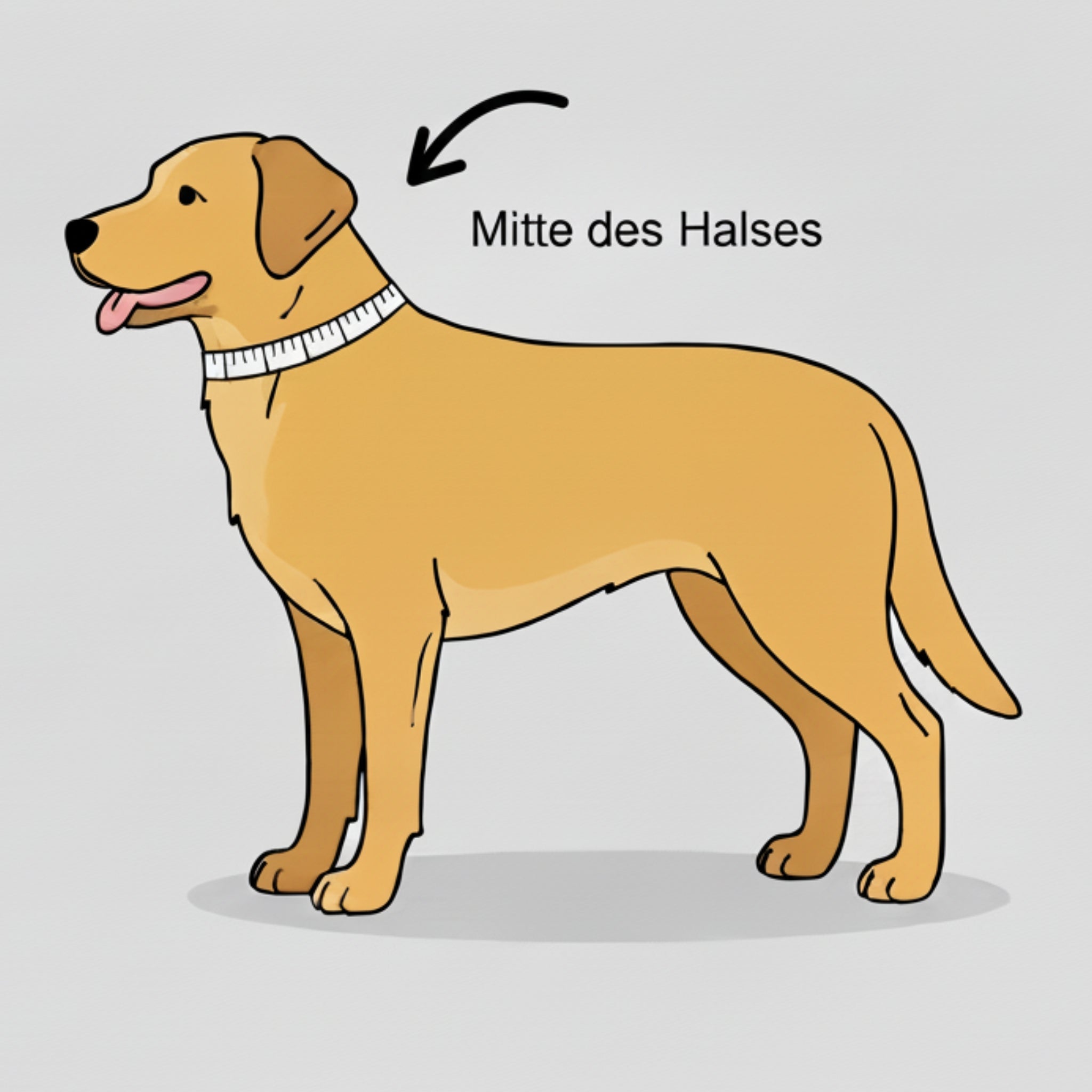 Ruffwear Front Range Flex Collar – Reflektierendes Hundehalsband mit innovativer Stricktechnologie für maximalen Komfort bei Abenteuern - Woofshack