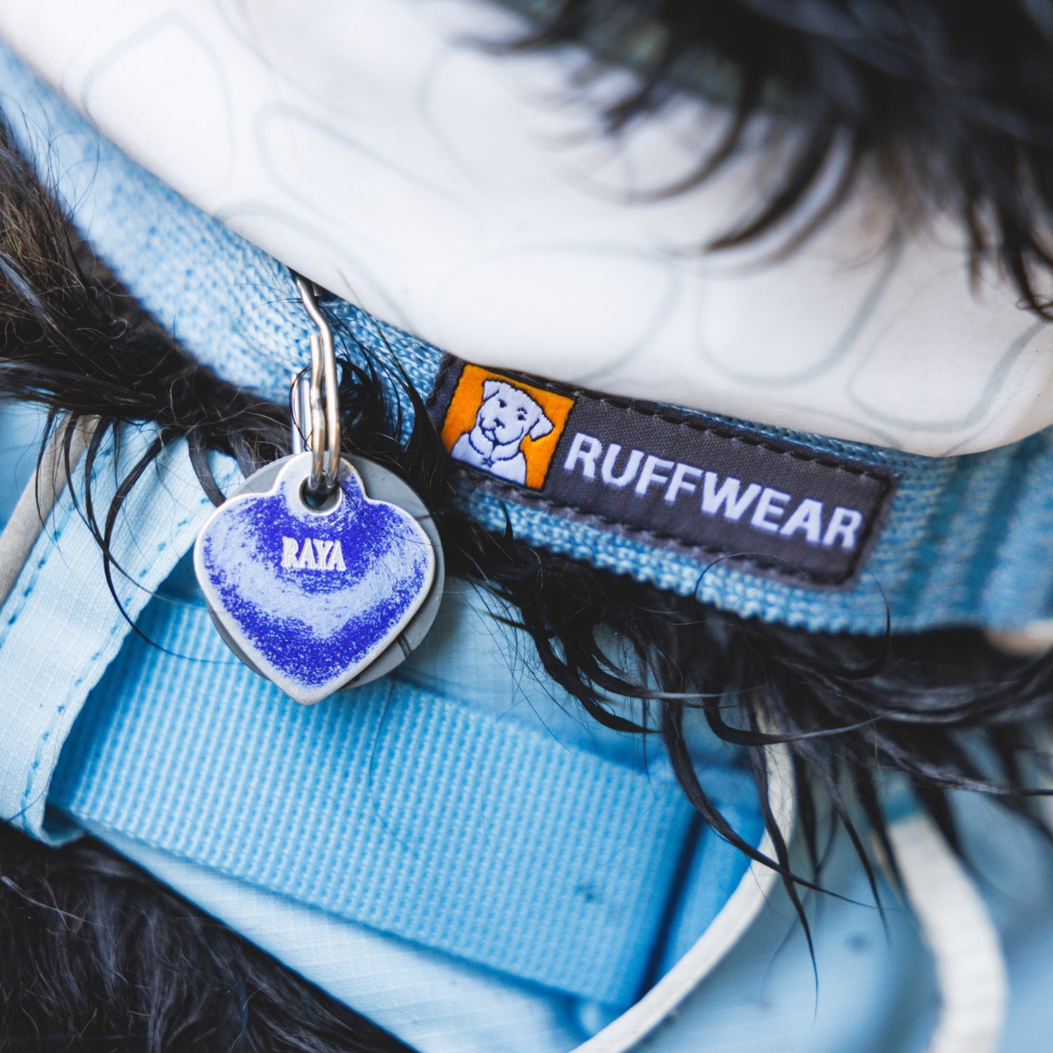 Ruffwear Front Range Flex Collar – Reflektierendes Hundehalsband mit innovativer Stricktechnologie für maximalen Komfort bei Abenteuern - Woofshack