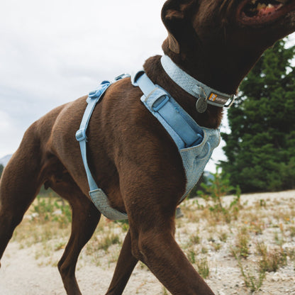 Ruffwear Front Range Flex Collar – Reflektierendes Hundehalsband mit innovativer Stricktechnologie für maximalen Komfort bei Abenteuern - Woofshack