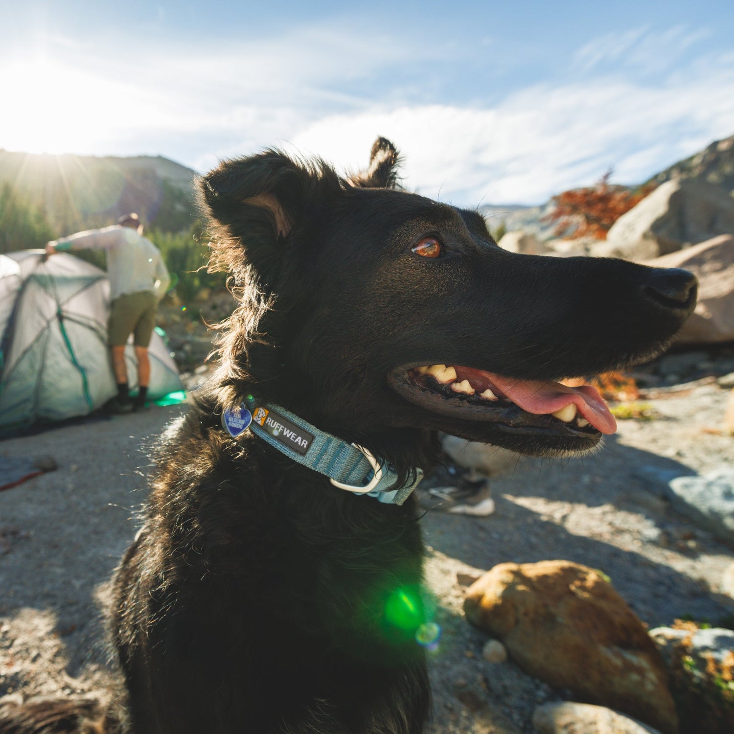 Ruffwear Front Range Flex Collar – Reflektierendes Hundehalsband mit innovativer Stricktechnologie für maximalen Komfort bei Abenteuern - Woofshack