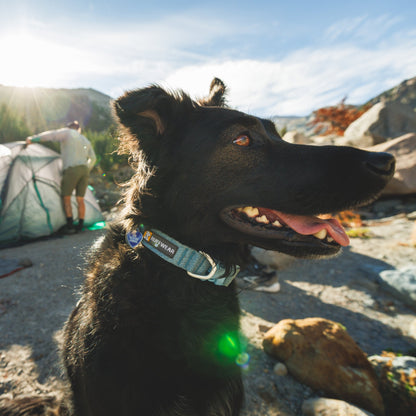 Ruffwear Front Range Flex Collar – Reflektierendes Hundehalsband mit innovativer Stricktechnologie für maximalen Komfort bei Abenteuern - Woofshack