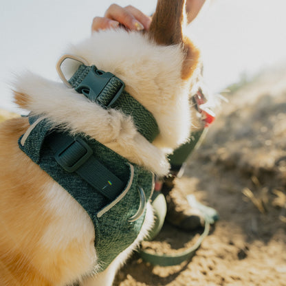 Ruffwear Front Range Flex Collar – Reflektierendes Hundehalsband mit innovativer Stricktechnologie für maximalen Komfort bei Abenteuern - Woofshack