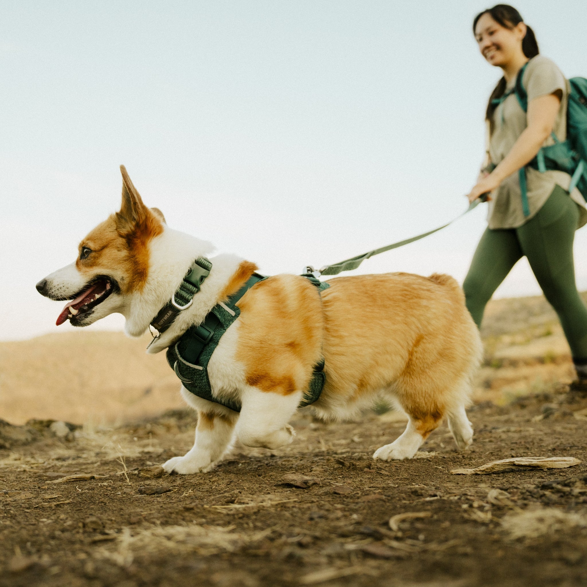 Ruffwear Front Range Flex Collar – Reflektierendes Hundehalsband mit innovativer Stricktechnologie für maximalen Komfort bei Abenteuern - Woofshack