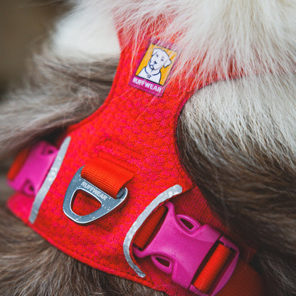 Ruffwear Front Range Flex Harness – Atmungsaktives Hundegeschirr in Stricktechnologie mit Y-Schnitt für maximale Bewegungsfreiheit und Komfort