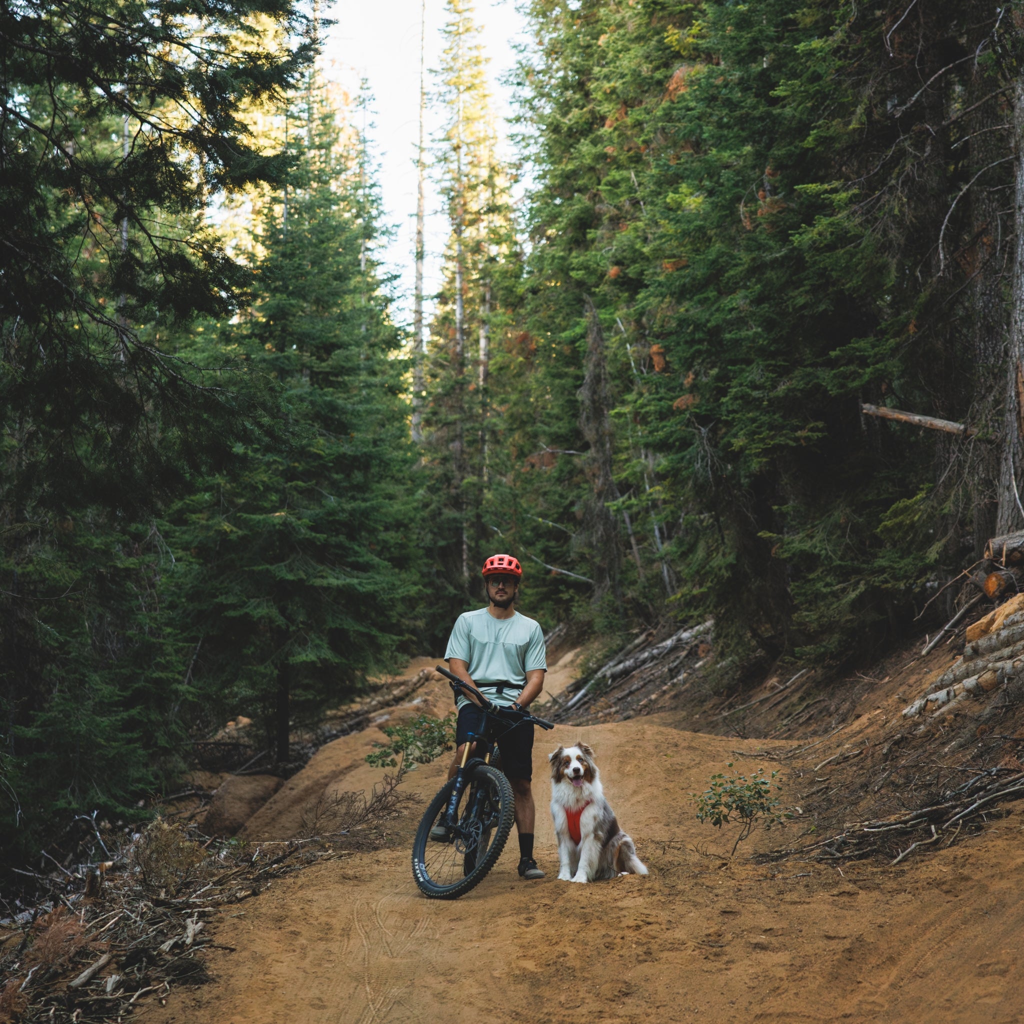 Ruffwear Front Range Flex Harness – Atmungsaktives Hundegeschirr in Stricktechnologie mit Y-Schnitt für maximale Bewegungsfreiheit und Komfort