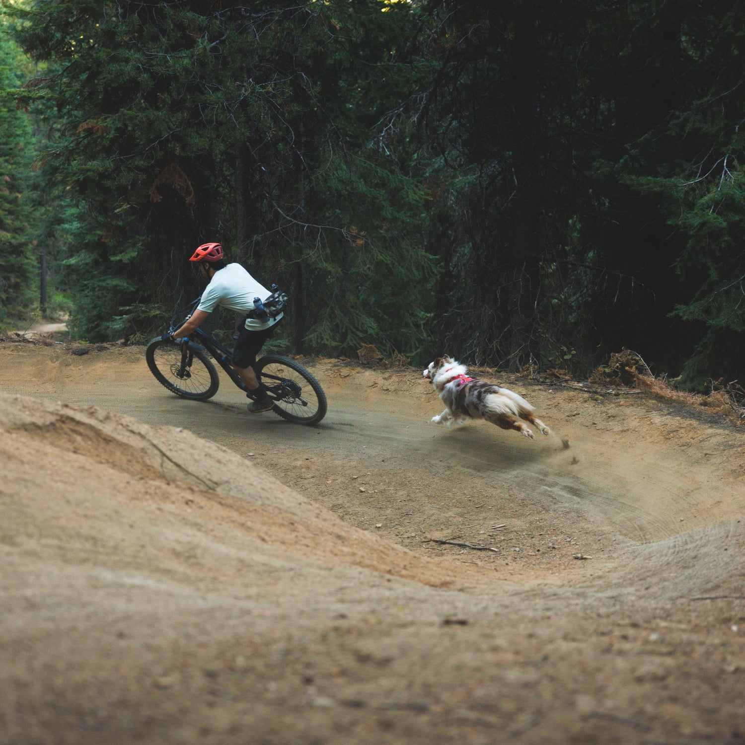 Ruffwear Front Range Flex Harness – Atmungsaktives Hundegeschirr in Stricktechnologie mit Y-Schnitt für maximale Bewegungsfreiheit und Komfort