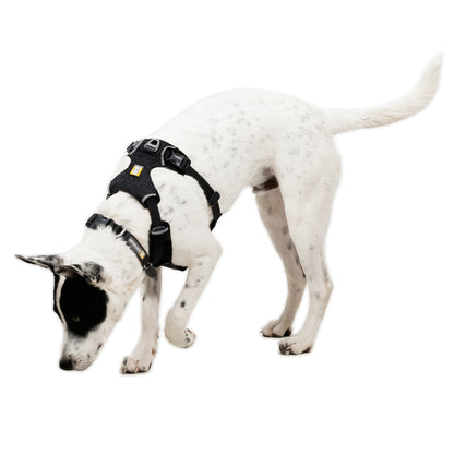 Ruffwear Front Range Flex Harness – Atmungsaktives Hundegeschirr in Stricktechnologie mit Y-Schnitt für maximale Bewegungsfreiheit und Komfort