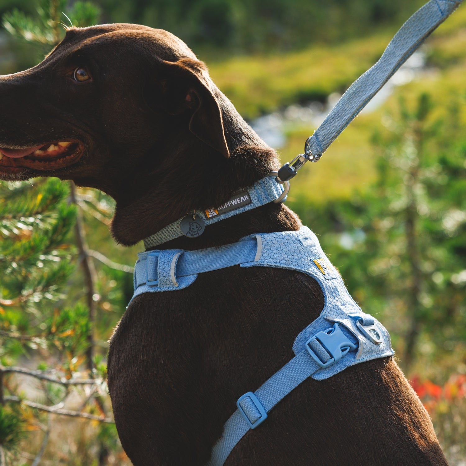 Ruffwear Front Range Flex Harness – Atmungsaktives Hundegeschirr in Stricktechnologie mit Y-Schnitt für maximale Bewegungsfreiheit und Komfort
