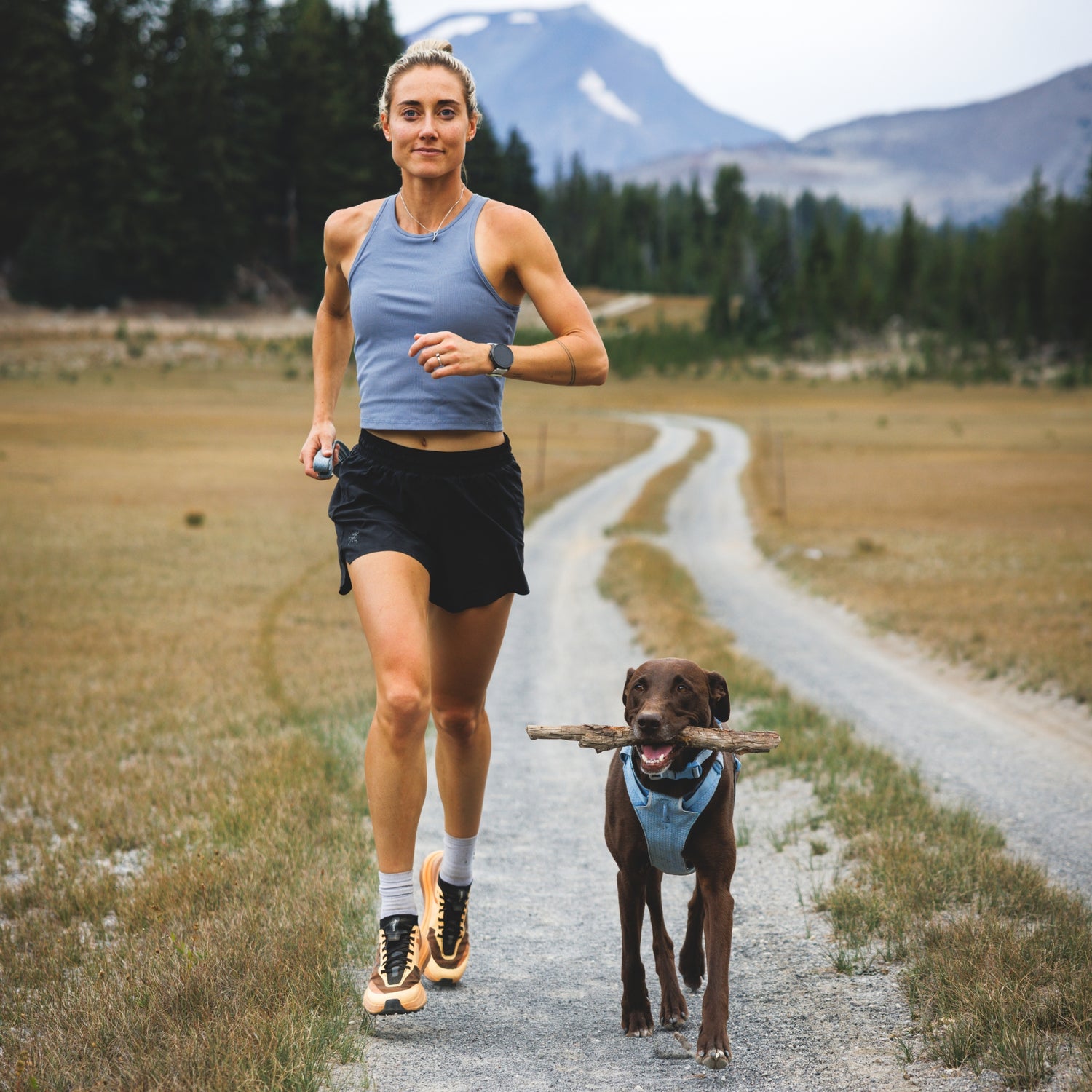 Ruffwear Front Range Flex Harness – Atmungsaktives Hundegeschirr in Stricktechnologie mit Y-Schnitt für maximale Bewegungsfreiheit und Komfort