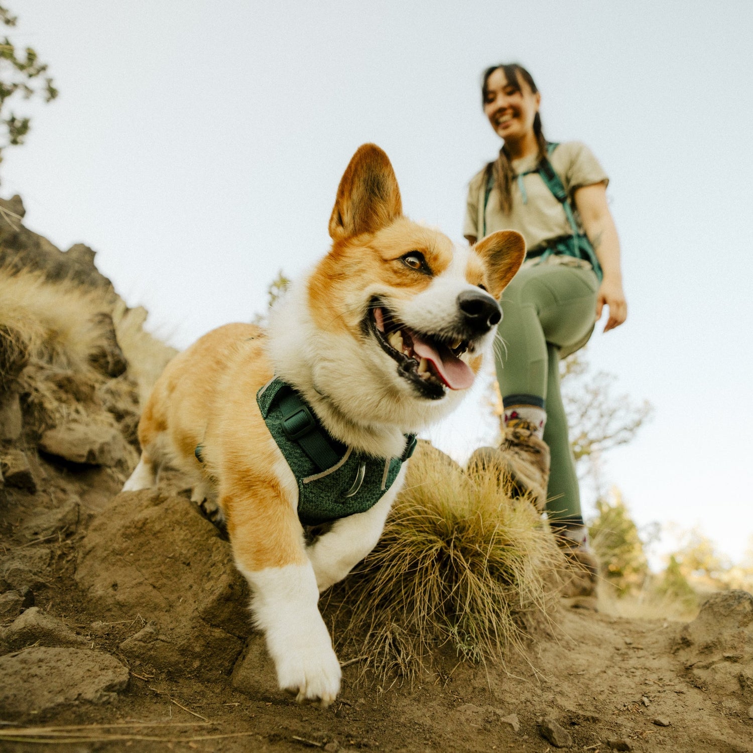 Ruffwear Front Range Flex Harness – Atmungsaktives Hundegeschirr in Stricktechnologie mit Y - Schnitt für maximale Bewegungsfreiheit und Komfort - Woofshack