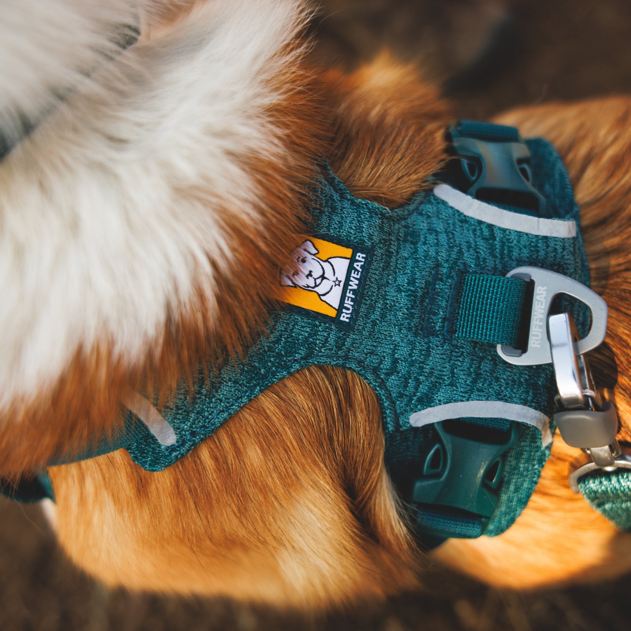 Ruffwear Front Range Flex Harness – Atmungsaktives Hundegeschirr in Stricktechnologie mit Y - Schnitt für maximale Bewegungsfreiheit und Komfort - Woofshack