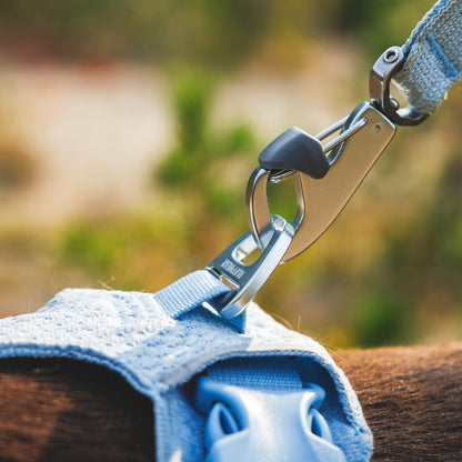 Ruffwear Front Range Flex Harness – Atmungsaktives Hundegeschirr in Stricktechnologie mit Y - Schnitt für maximale Bewegungsfreiheit und Komfort - Woofshack