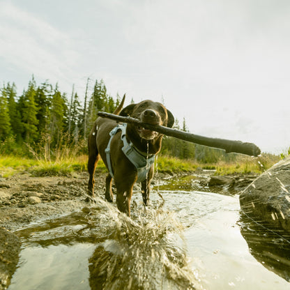 Ruffwear Front Range Flex Harness – Atmungsaktives Hundegeschirr in Stricktechnologie mit Y - Schnitt für maximale Bewegungsfreiheit und Komfort - Woofshack