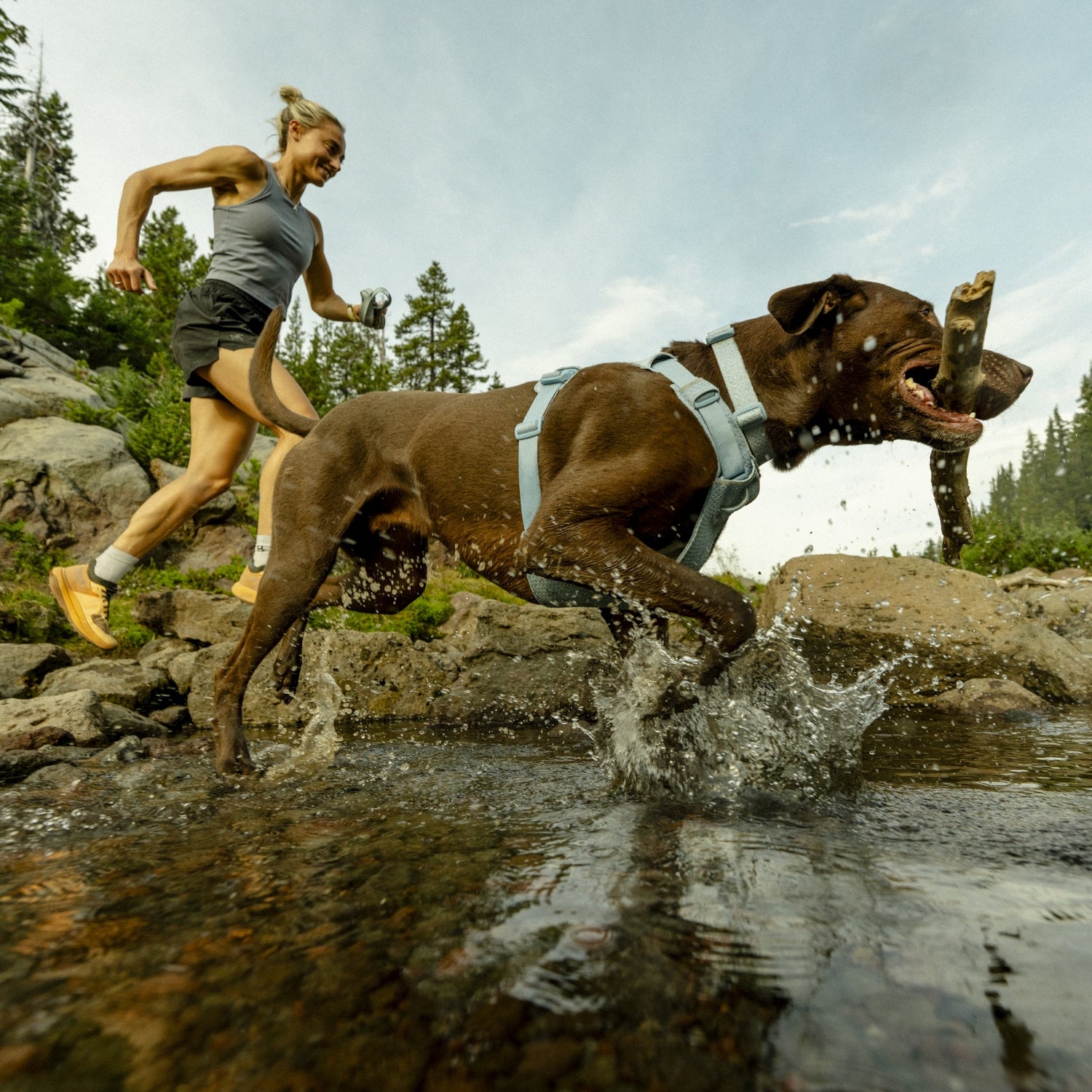 Ruffwear Front Range Flex Harness – Atmungsaktives Hundegeschirr in Stricktechnologie mit Y - Schnitt für maximale Bewegungsfreiheit und Komfort - Woofshack