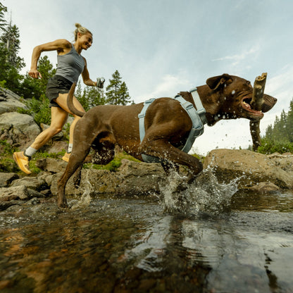 Ruffwear Front Range Flex Harness – Atmungsaktives Hundegeschirr in Stricktechnologie mit Y - Schnitt für maximale Bewegungsfreiheit und Komfort - Woofshack