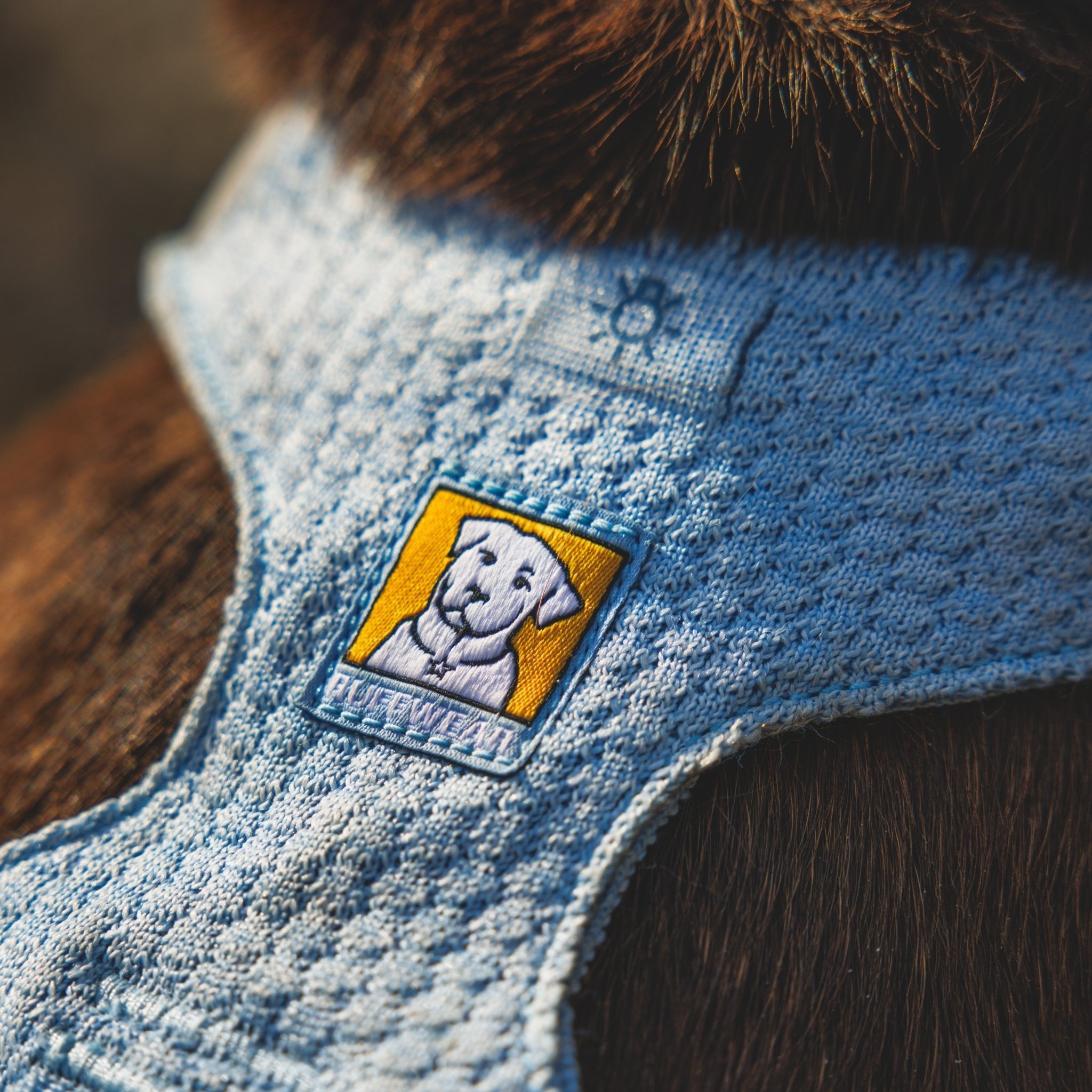 Ruffwear Front Range Flex Harness – Atmungsaktives Hundegeschirr in Stricktechnologie mit Y - Schnitt für maximale Bewegungsfreiheit und Komfort - Woofshack