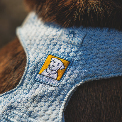 Ruffwear Front Range Flex Harness – Atmungsaktives Hundegeschirr in Stricktechnologie mit Y - Schnitt für maximale Bewegungsfreiheit und Komfort - Woofshack