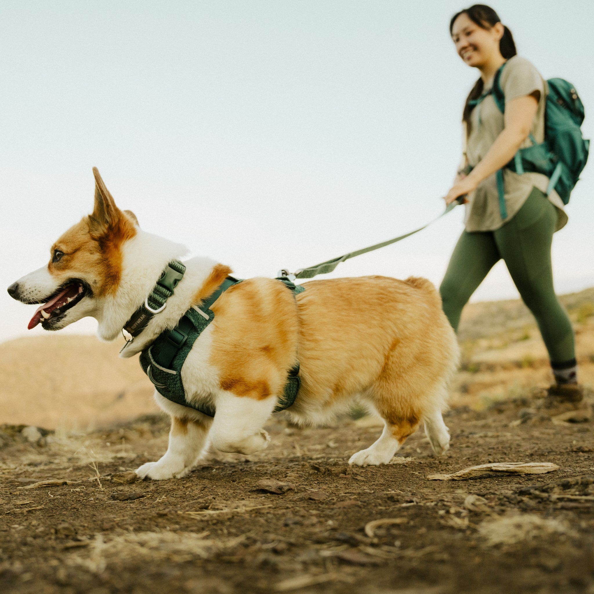 Ruffwear Front Range Flex Harness – Atmungsaktives Hundegeschirr in Stricktechnologie mit Y - Schnitt für maximale Bewegungsfreiheit und Komfort - Woofshack