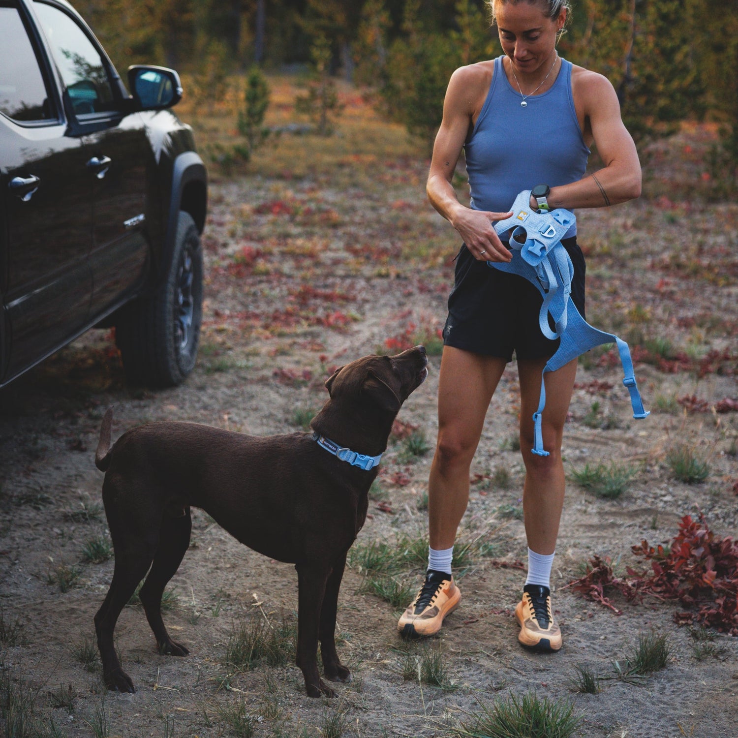 Ruffwear Front Range Flex Harness – Atmungsaktives Hundegeschirr in Stricktechnologie mit Y - Schnitt für maximale Bewegungsfreiheit und Komfort - Woofshack