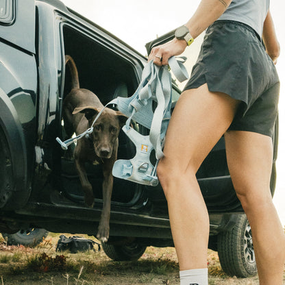 Ruffwear Front Range Flex Harness – Atmungsaktives Hundegeschirr in Stricktechnologie mit Y - Schnitt für maximale Bewegungsfreiheit und Komfort - Woofshack