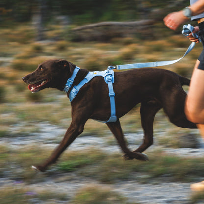 Ruffwear Front Range Flex Harness – Atmungsaktives Hundegeschirr in Stricktechnologie mit Y - Schnitt für maximale Bewegungsfreiheit und Komfort - Woofshack