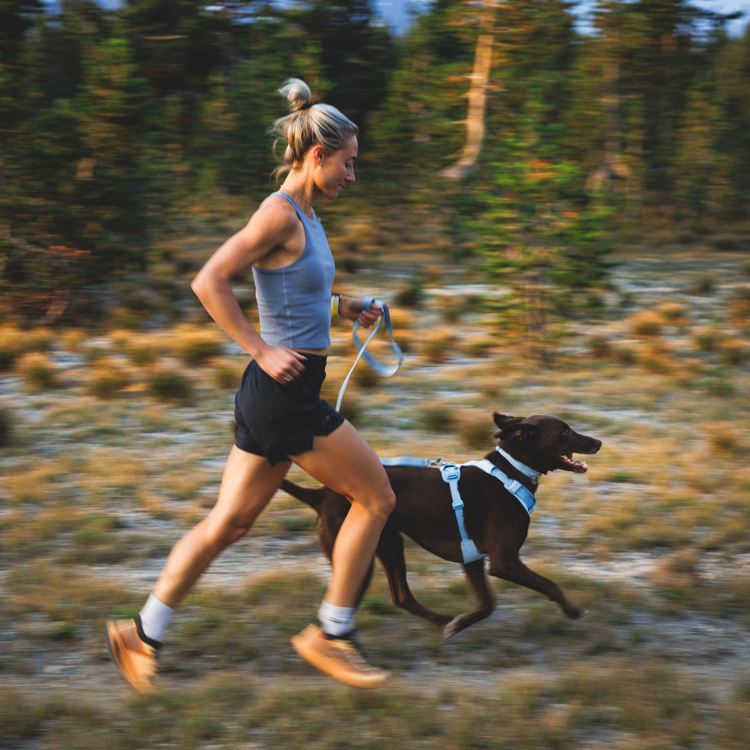 Ruffwear Front Range Flex Harness – Atmungsaktives Hundegeschirr in Stricktechnologie mit Y - Schnitt für maximale Bewegungsfreiheit und Komfort - Woofshack