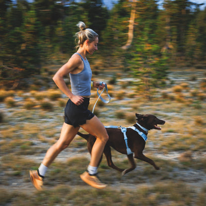 Ruffwear Front Range Flex Harness – Atmungsaktives Hundegeschirr in Stricktechnologie mit Y - Schnitt für maximale Bewegungsfreiheit und Komfort - Woofshack