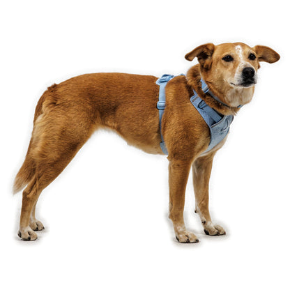 Ruffwear Front Range Flex Harness – Atmungsaktives Hundegeschirr in Stricktechnologie mit Y - Schnitt für maximale Bewegungsfreiheit und Komfort - Woofshack