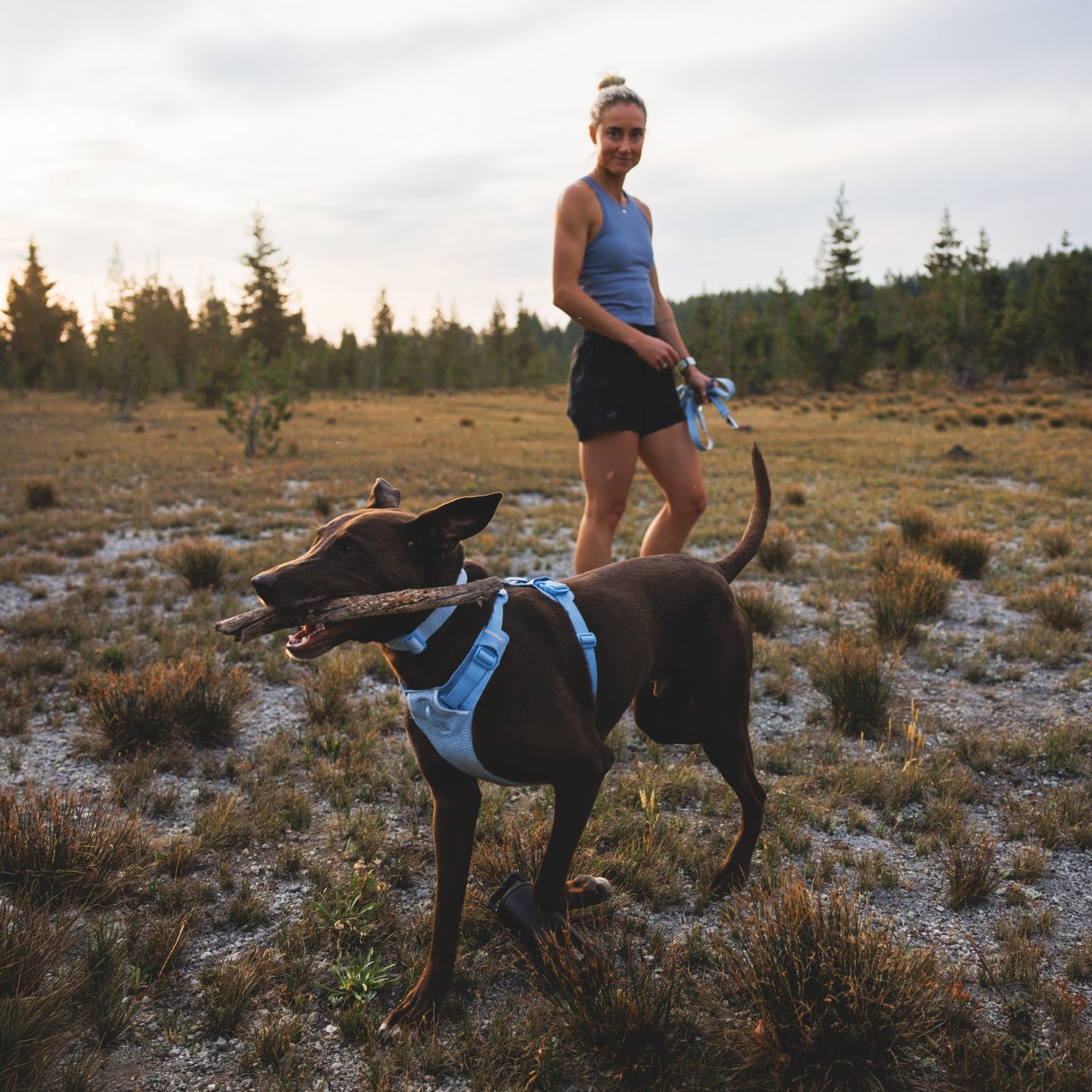 Ruffwear Front Range Flex Harness – Atmungsaktives Hundegeschirr in Stricktechnologie mit Y - Schnitt für maximale Bewegungsfreiheit und Komfort - Woofshack
