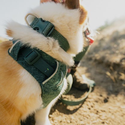 Ruffwear Front Range Flex Harness – Atmungsaktives Hundegeschirr in Stricktechnologie mit Y - Schnitt für maximale Bewegungsfreiheit und Komfort - Woofshack