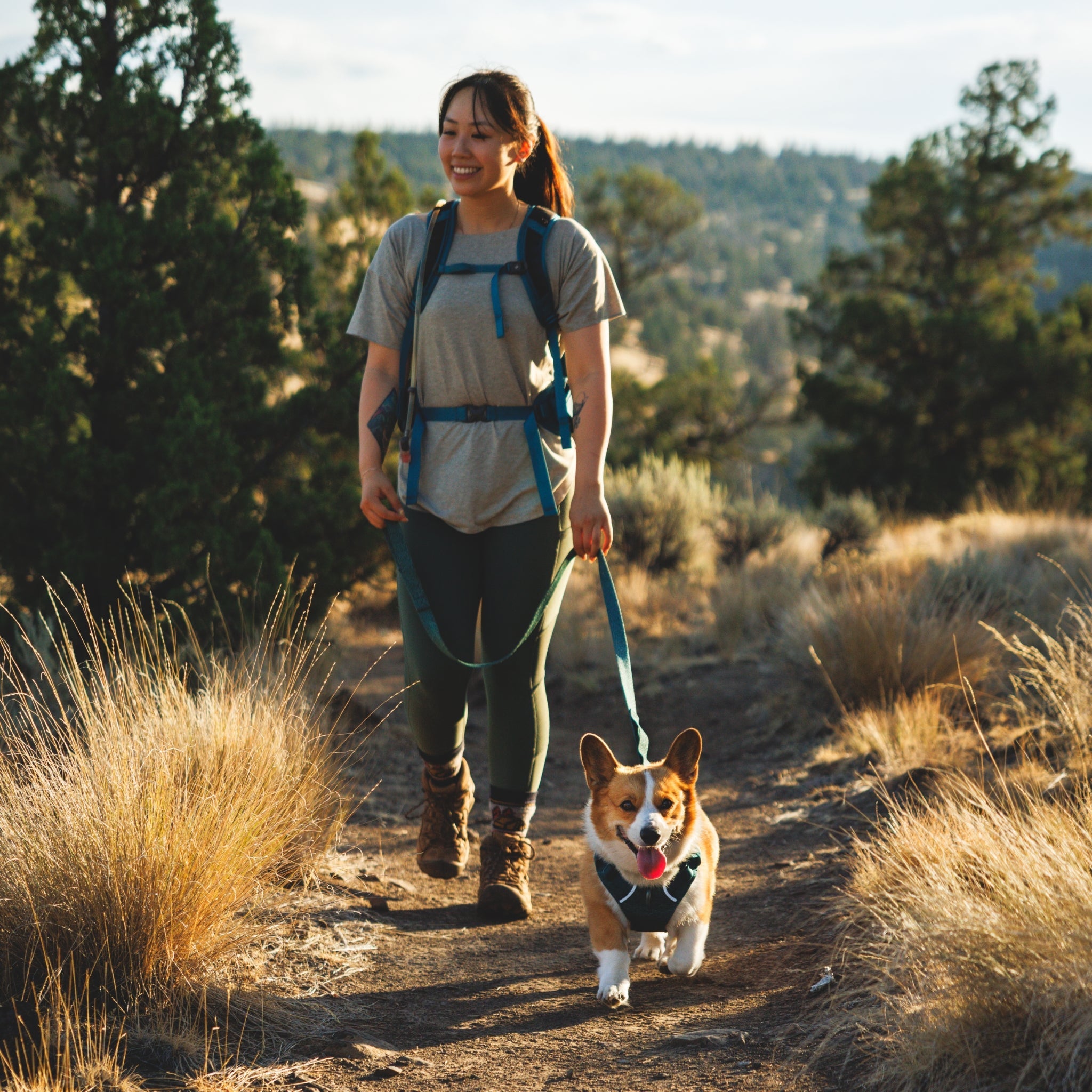 Ruffwear Front Range Flex Leash – Reflektierende Premium - Hundeleine mit weichem Griff für maximale Kontrolle und Komfort bei jedem Abenteuer - Woofshack