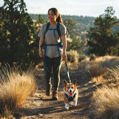 Ruffwear Front Range Flex Leash – Reflektierende Premium - Hundeleine mit weichem Griff für maximale Kontrolle und Komfort bei jedem Abenteuer - Woofshack
