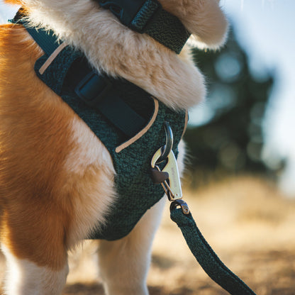 Ruffwear Front Range Flex Leash – Reflektierende Premium - Hundeleine mit weichem Griff für maximale Kontrolle und Komfort bei jedem Abenteuer - Woofshack