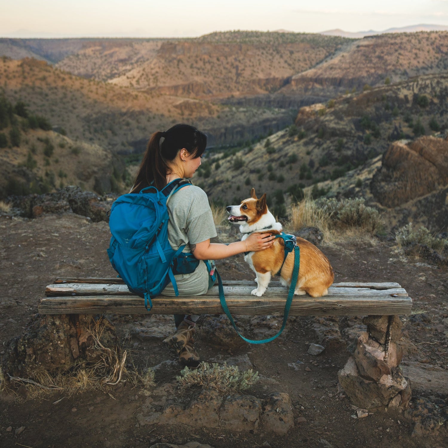 Ruffwear Front Range Flex Leash – Reflektierende Premium - Hundeleine mit weichem Griff für maximale Kontrolle und Komfort bei jedem Abenteuer - Woofshack