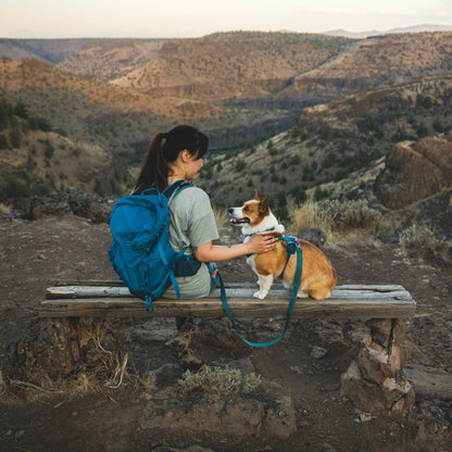 Ruffwear Front Range Flex Leash – Reflektierende Premium - Hundeleine mit weichem Griff für maximale Kontrolle und Komfort bei jedem Abenteuer - Woofshack