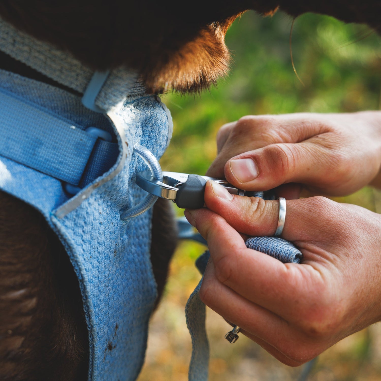 Ruffwear Front Range Flex Leash – Reflektierende Premium - Hundeleine mit weichem Griff für maximale Kontrolle und Komfort bei jedem Abenteuer - Woofshack